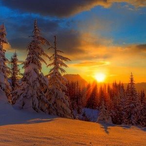 Meet your Posher, Darien